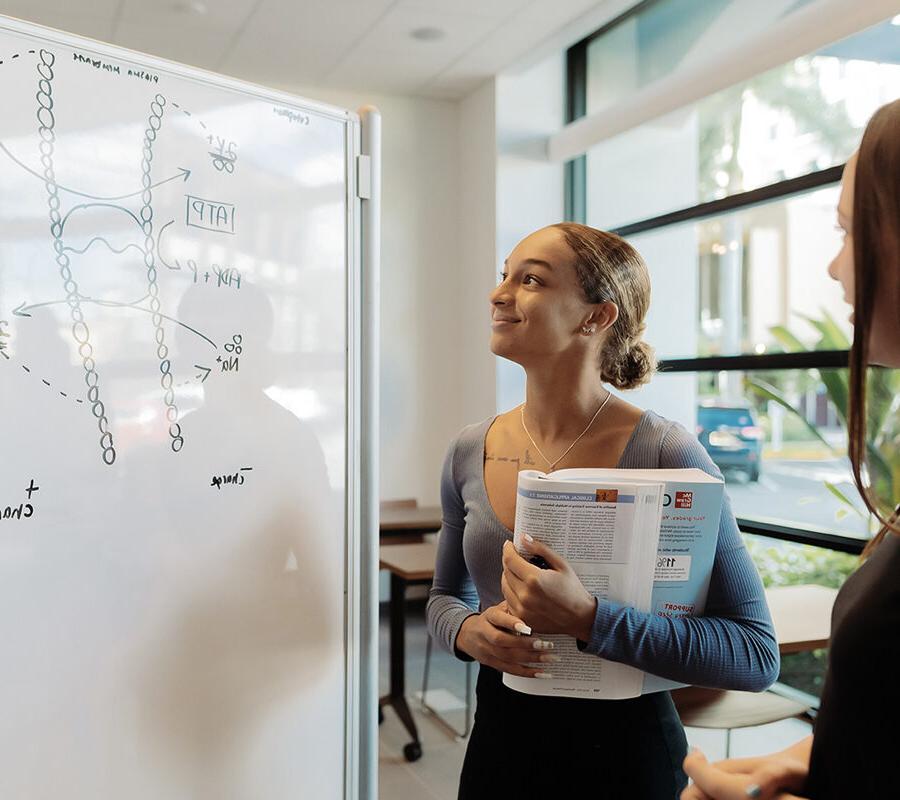 Two students study a diagram on a whiteboard.